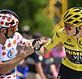 Strijd om bollen en om de eer in de Vogezen | Tour de France rit 20