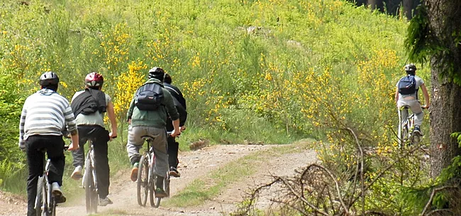 6 fietsbestemmingen dicht bij huis voor snelle hoogtemeters