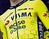 Team Visma | Lease a Bike neemt afscheid van trouwe strijders: ‘Forever a bee’